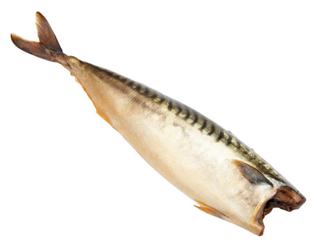 煙熏鯖魚在白色背景