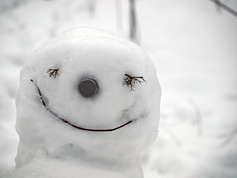 雪人的臉