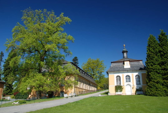 nebilovy