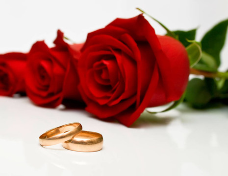 結(jié)婚戒指和紅玫瑰