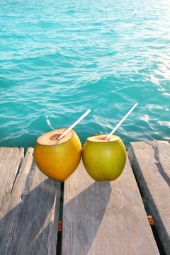 椰子棕榈树的叶子在加勒比鸡尾酒