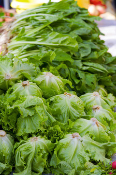 letuce