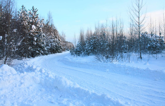 冬季景觀與道路