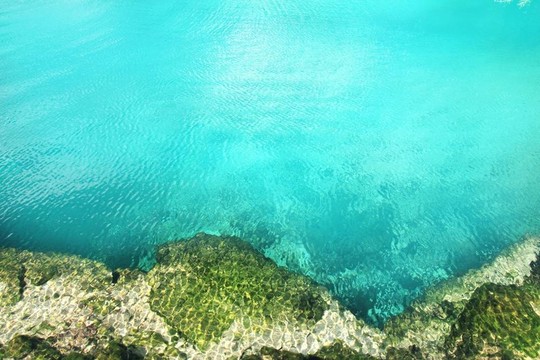 天然紅樹林的綠松石水Mayan Riviera
