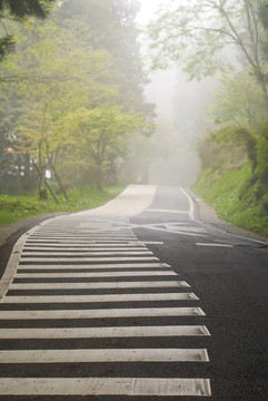 路