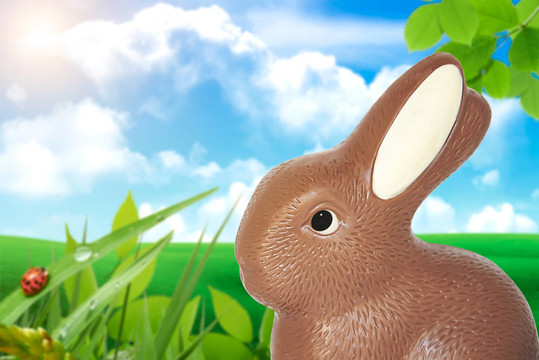 復活節(jié)Bunnie