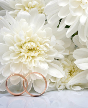 結(jié)婚戒指和白菊花