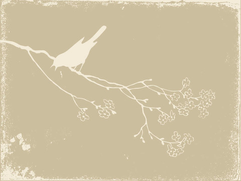 老紙上的鳥剪影；插圖