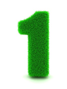 白孤立背景下草數(shù)1的三維繪制。