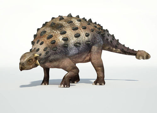 逼真的3 D的甲龍渲染。
