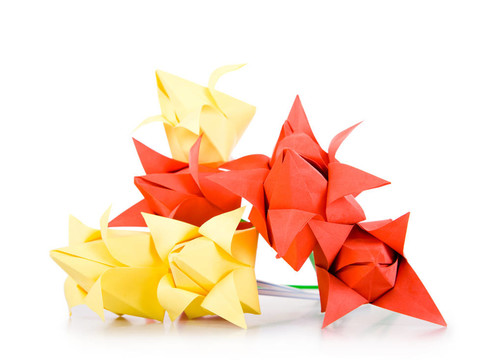 origamis。郁金香.