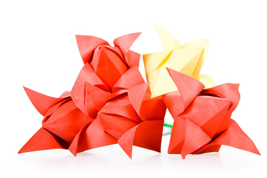 origamis。郁金香.