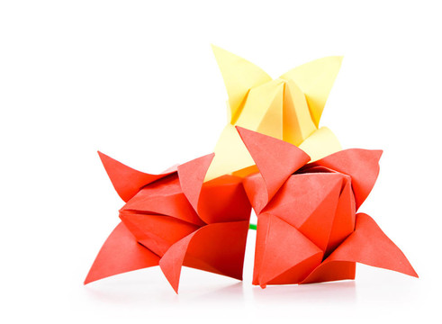 origamis。郁金香.