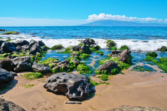 巖石；和太平洋的海浪在毛伊島島