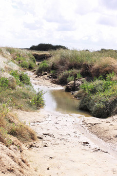 在對(duì)法國(guó)蛋白石海岸低潮的海景，沙灘