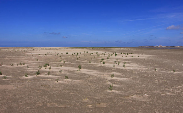 在對法國蛋白石海岸低潮的海景，沙灘