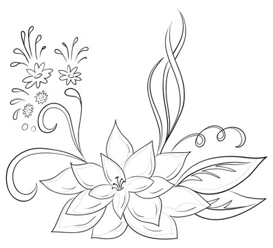 花形；輪廓
