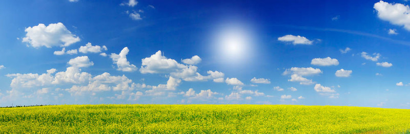 陽光的魅力rapefield和Cloudscape。