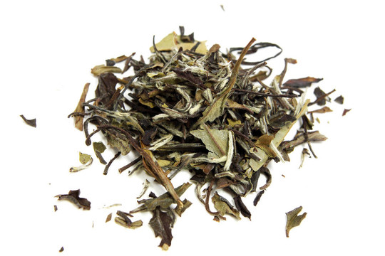 綠茶