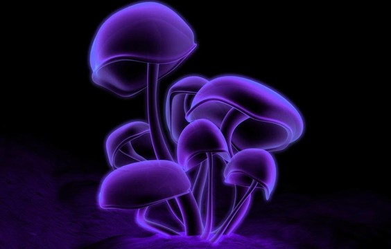 紫色抽象在黑色背景上