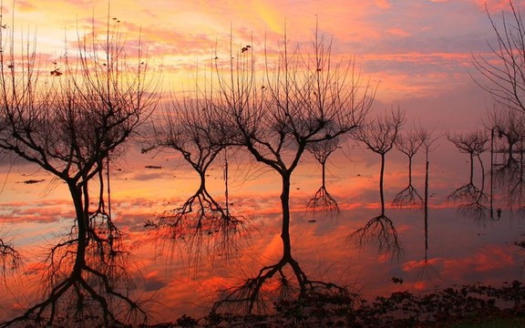 美麗風(fēng)景圖片