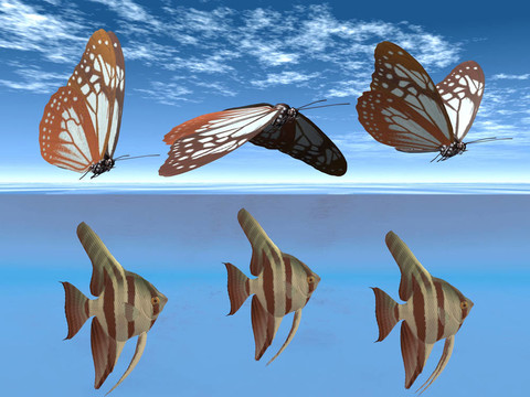 蝴蝶和魚