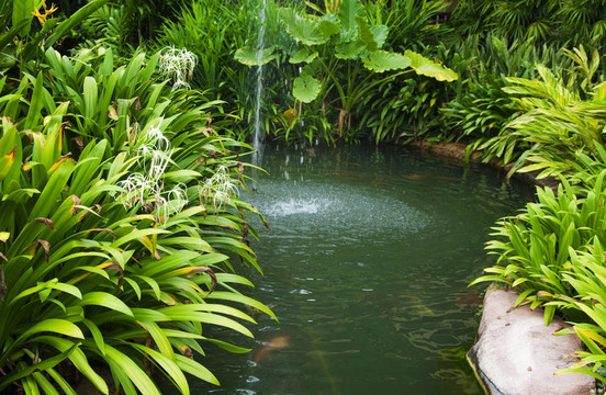 熱帶花園