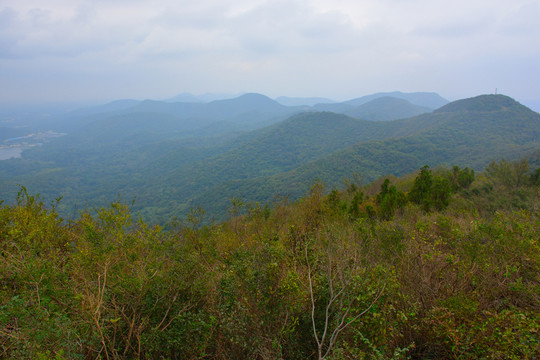 南京老山國(guó)家森林公園