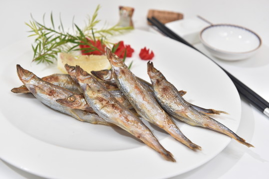 多春魚