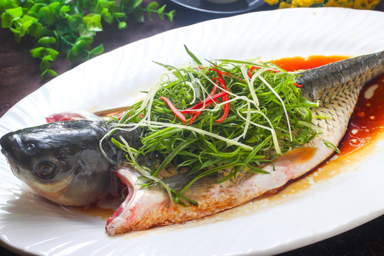 清蒸鯇魚