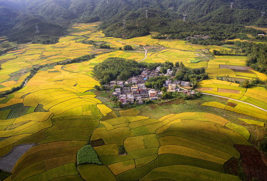 鄉(xiāng)村秋色