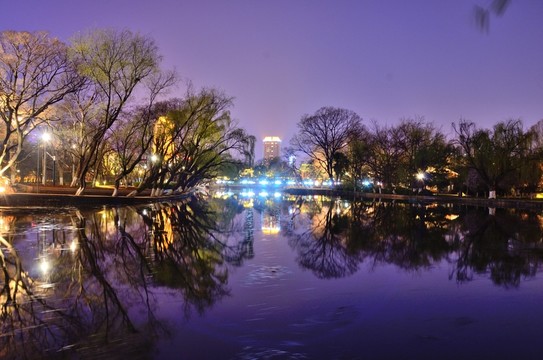 翠湖夜景