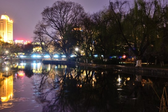 翠湖夜景