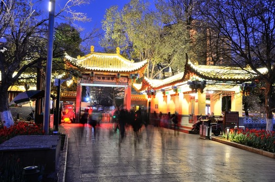 翠湖夜景