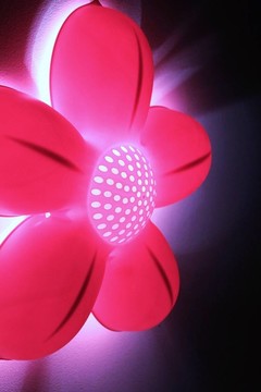 亮粉紅色的花朵