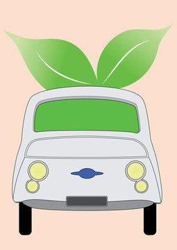 生態(tài)學(xué)的小汽車(chē)
