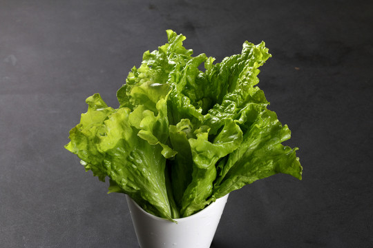 生菜