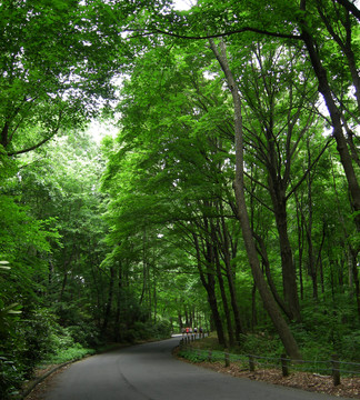 山路