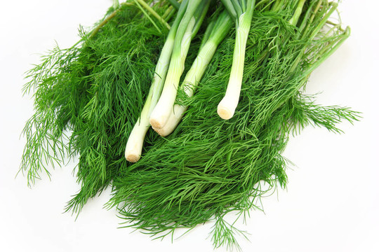 新鮮蒔蘿和洋蔥。