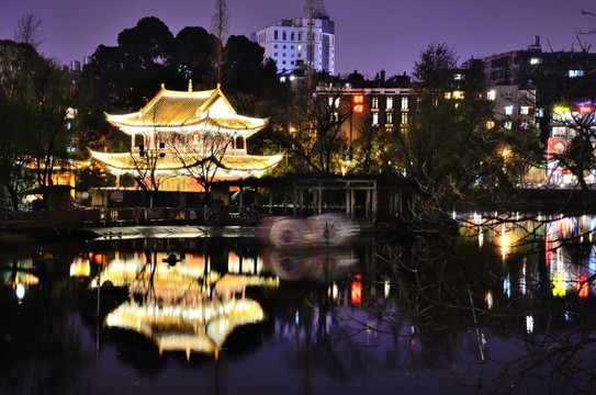 翠湖夜景