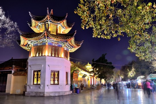 翠湖夜景
