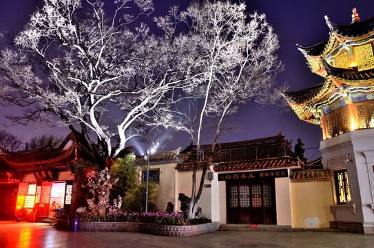 翠湖夜景
