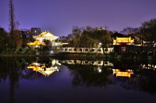 翠湖夜景