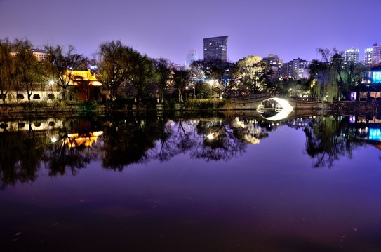 翠湖夜景
