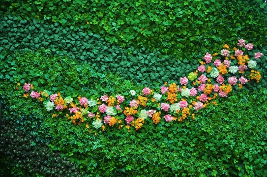 綠葉鮮花墻