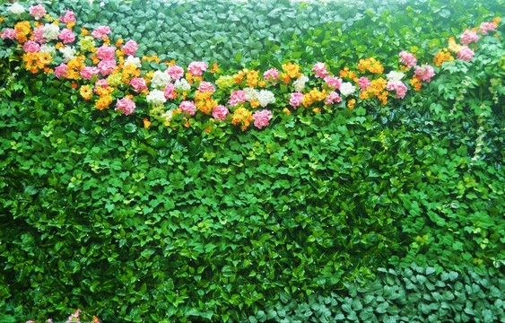 綠植墻