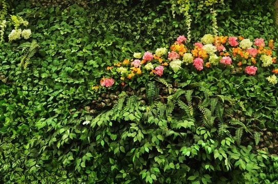 綠植墻