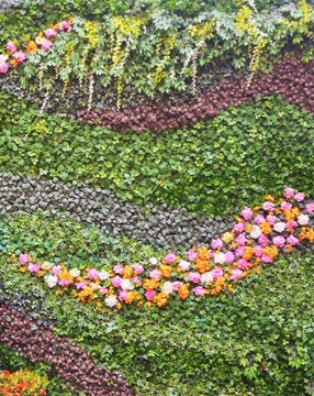 綠植墻