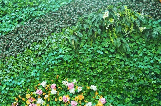綠植墻