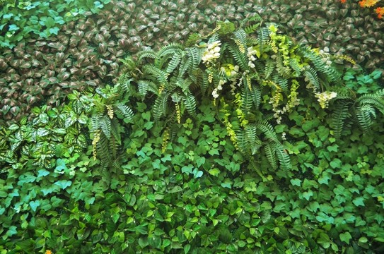 綠植墻